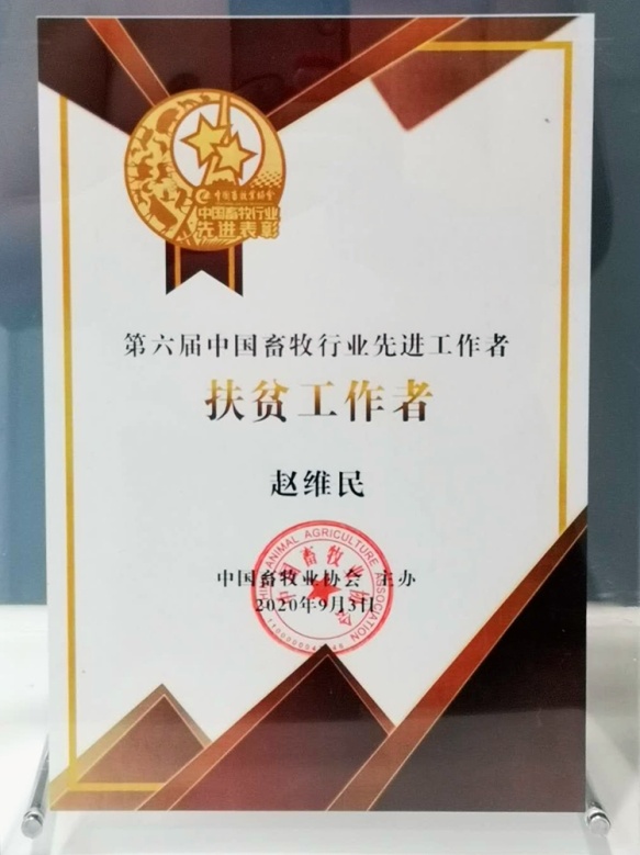 江苏畜牧人才网最新招聘动态——探寻畜牧业人才的新起点