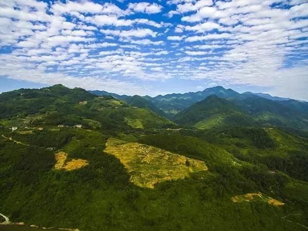 江南客运站人才市场招聘，探索人才市场的繁荣与机遇